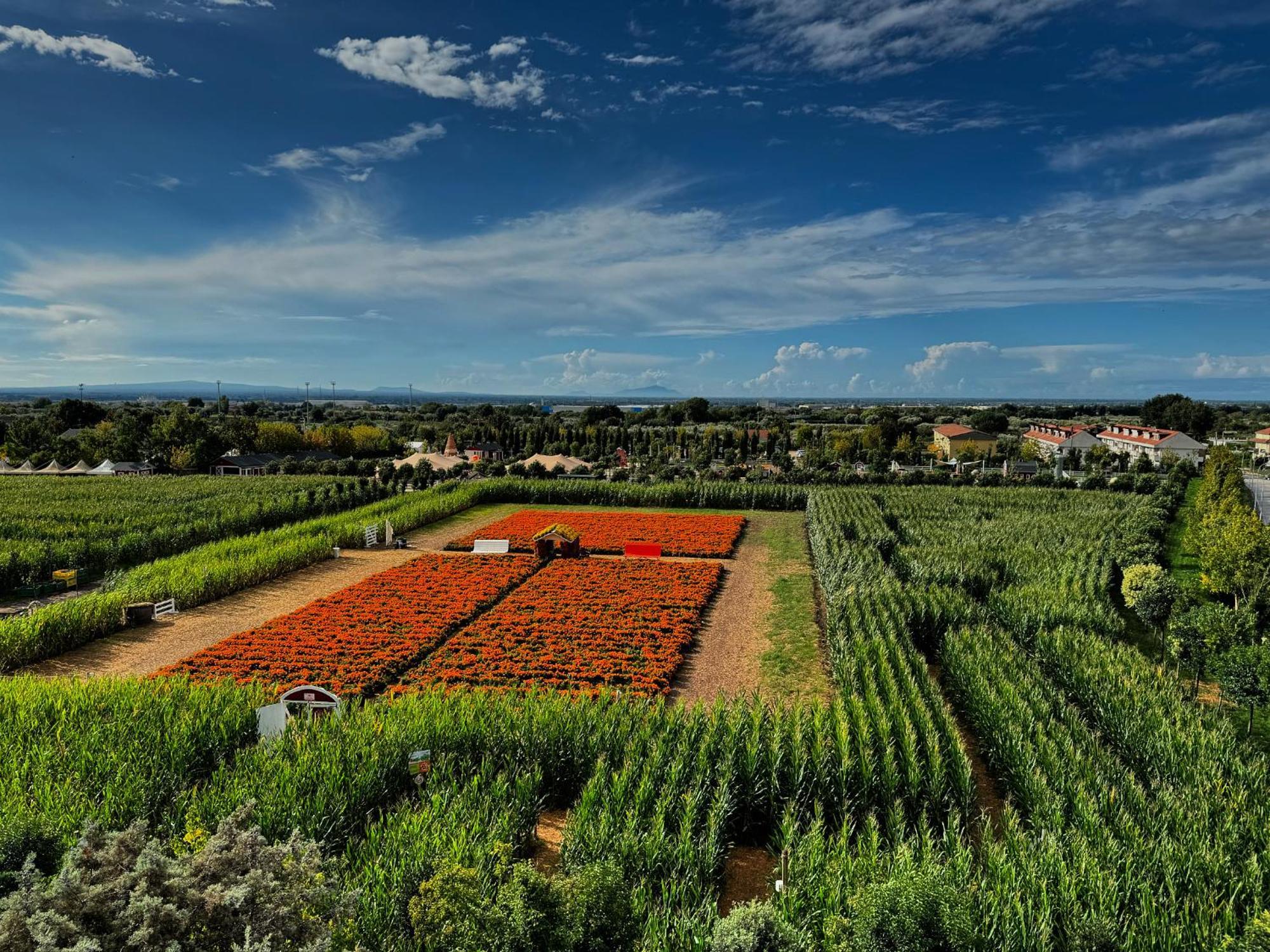Appartamento La Rondine Pignataro Maggiore Экстерьер фото